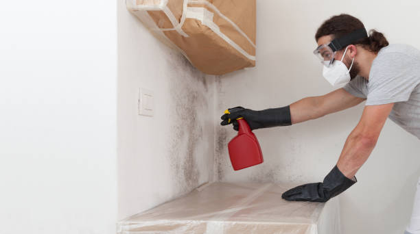 Professional Mold Remediation technician working in Flagtown, NJ